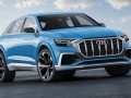 2018 Audi Q8 5