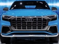 2018 Audi Q8