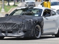2018 Mustang GT500 spy photos
