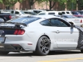 2018 Mustang GT500 spy photos8
