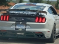 2018 Mustang GT500 spy photos9