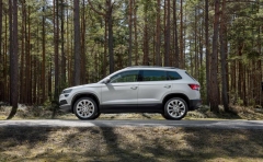 2018 Skoda Karoq 10