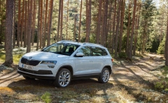2018 Skoda Karoq 12